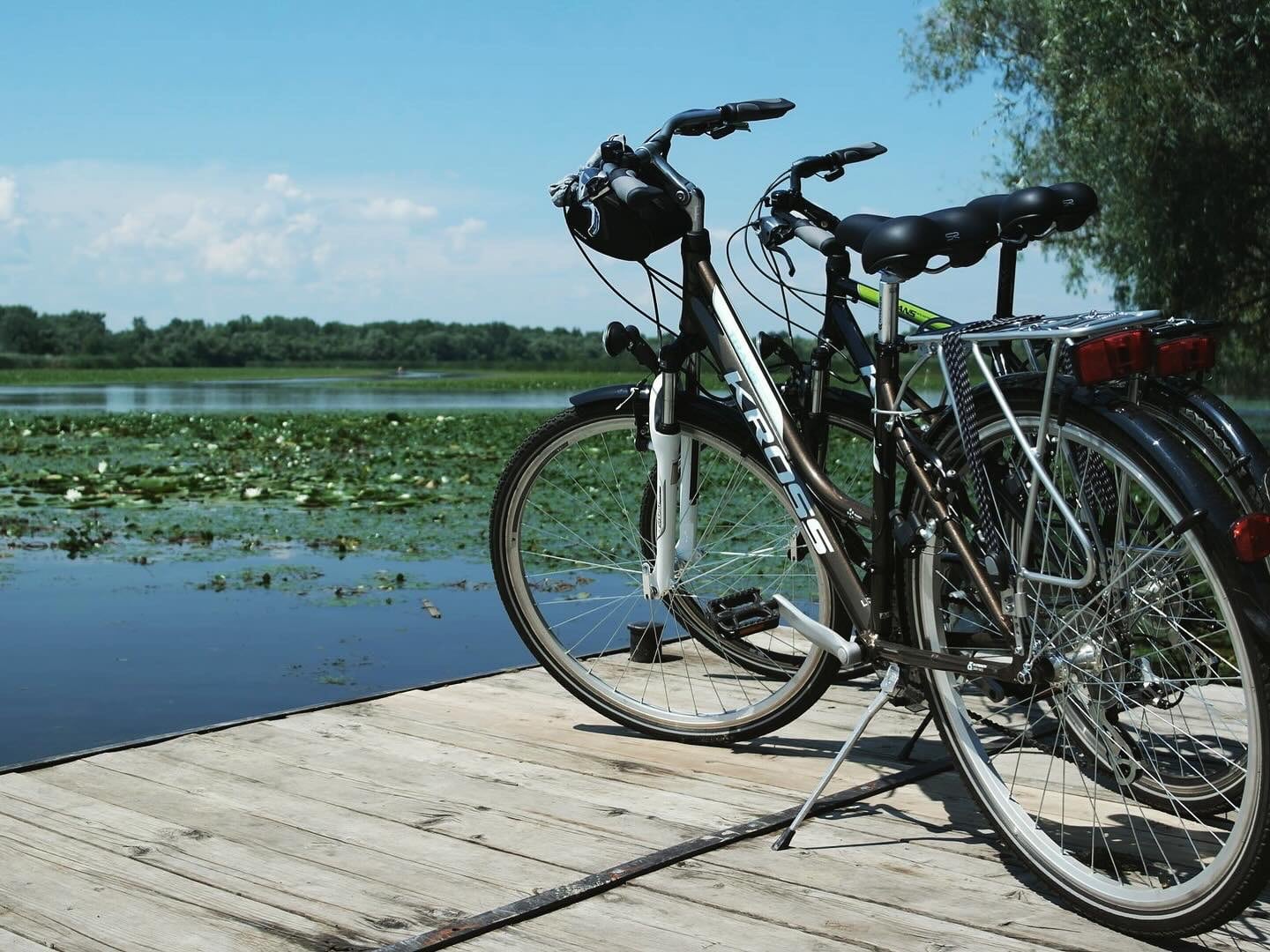 Tisza-tó Napja 2025