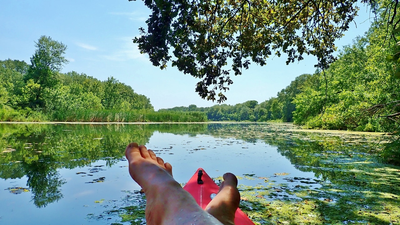Tisza-tó Napja 2025