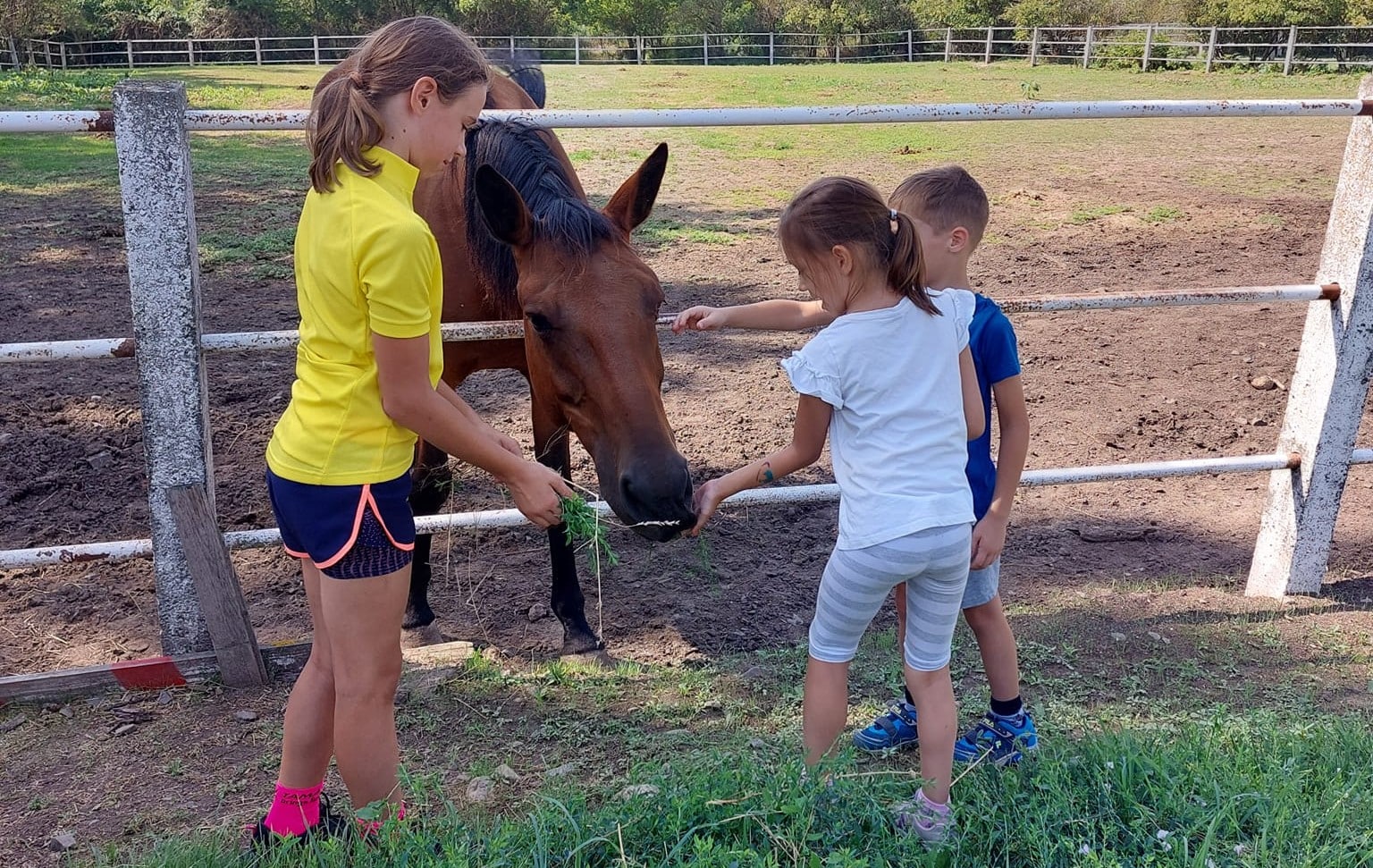 Családi Piknik a Széppatak Farmon