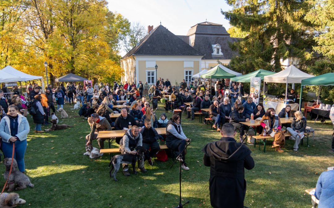 Szarvasgomba, kutyák és kastélyhangulat – élményturizmus Alsópetényben