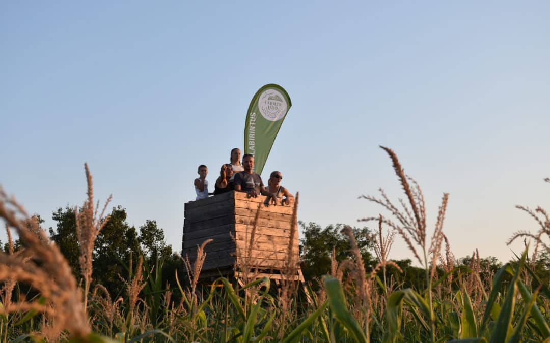 Tengeri Piknik 2023 - kukorica labiruntus - Tisza-tó, Abádszalók