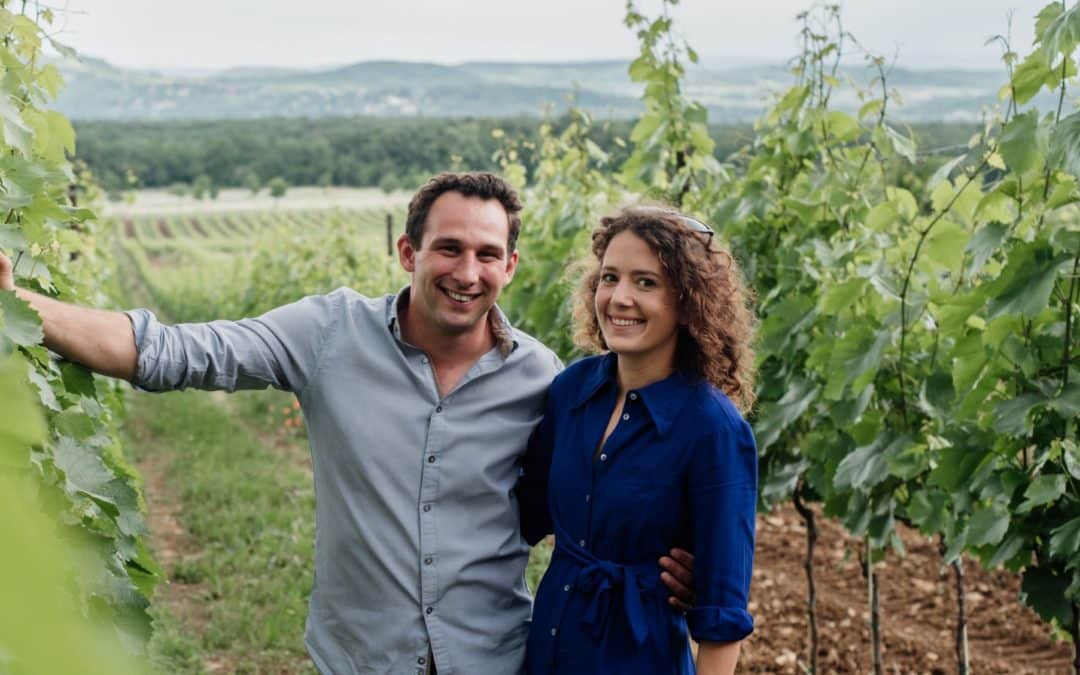 Organikus szőlőművelés és világhírű olaszrizlingek: ez mind a balatonfüredi Zelna Borászat