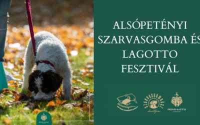 V. Alsópetényi Szarvasgomba és Lagotto Fesztivál 2023