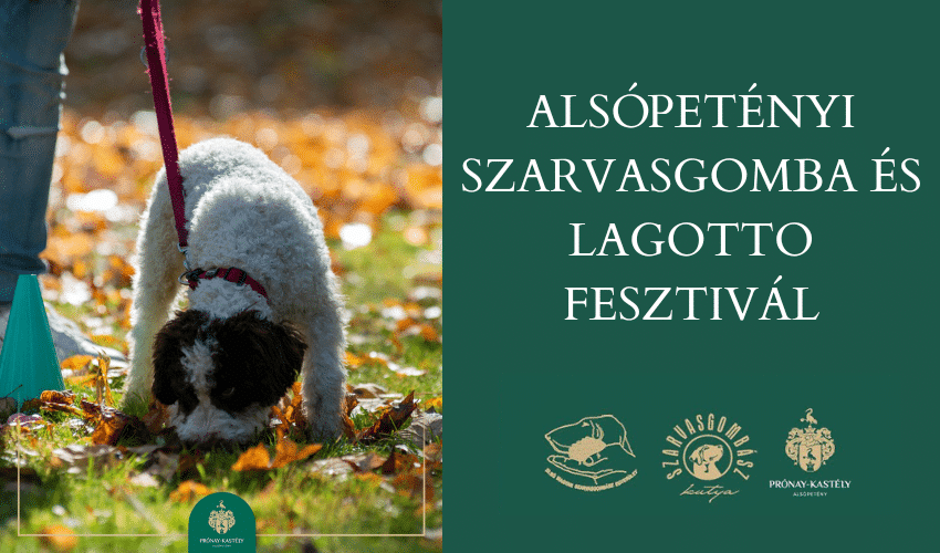 V. Alsópetényi Szarvasgomba és Lagotto Fesztivál