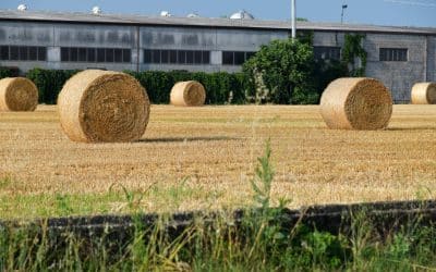 Vidéki élet, kevesebb munkalehetőség – valóban így van?