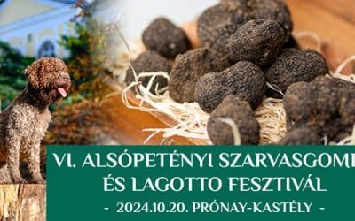 VI. Alsópetényi Szarvasgomba és Lagotto Fesztivál