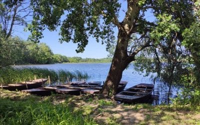 Tisza-tó Napja 2025