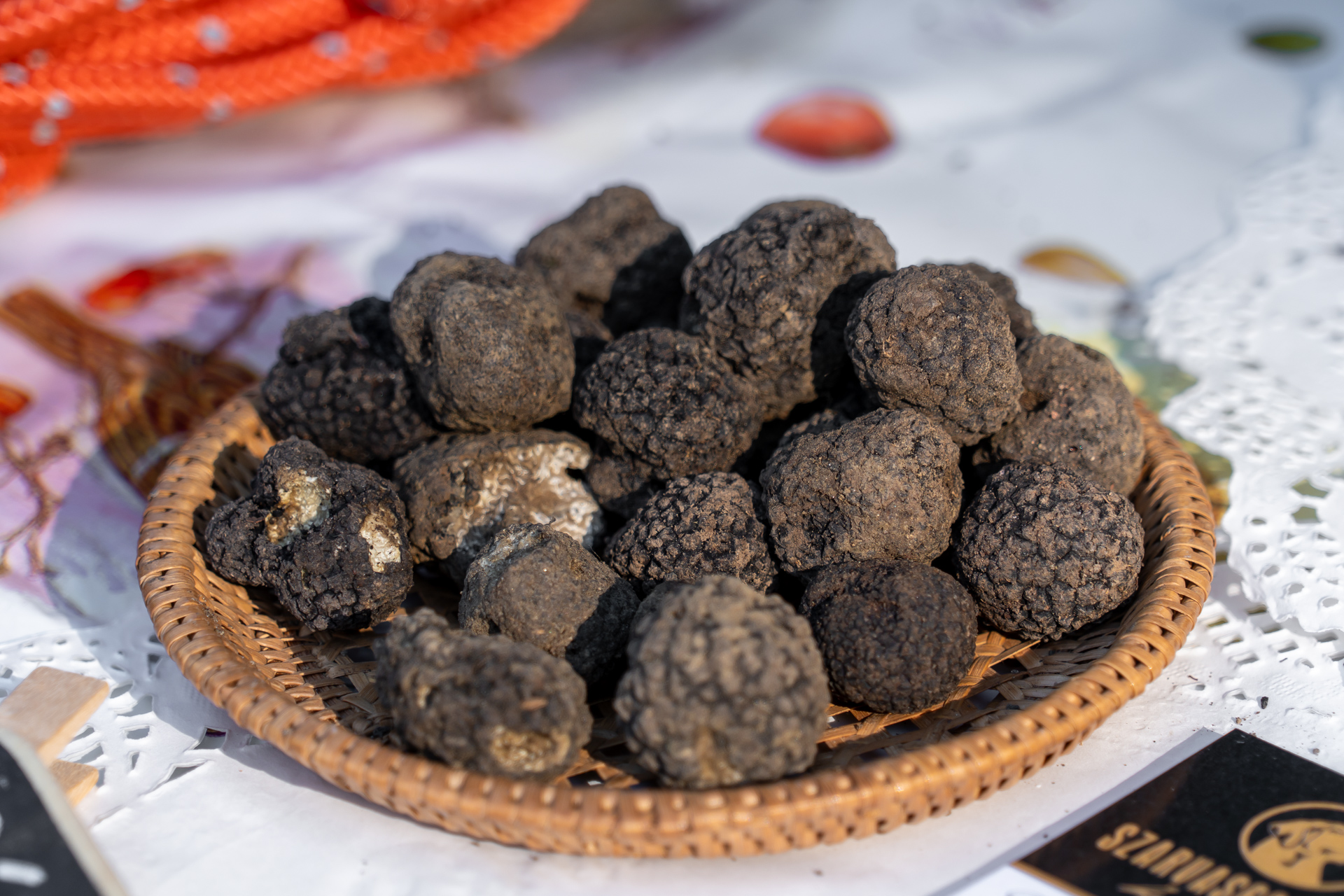 Tisza-tó Napja 2025