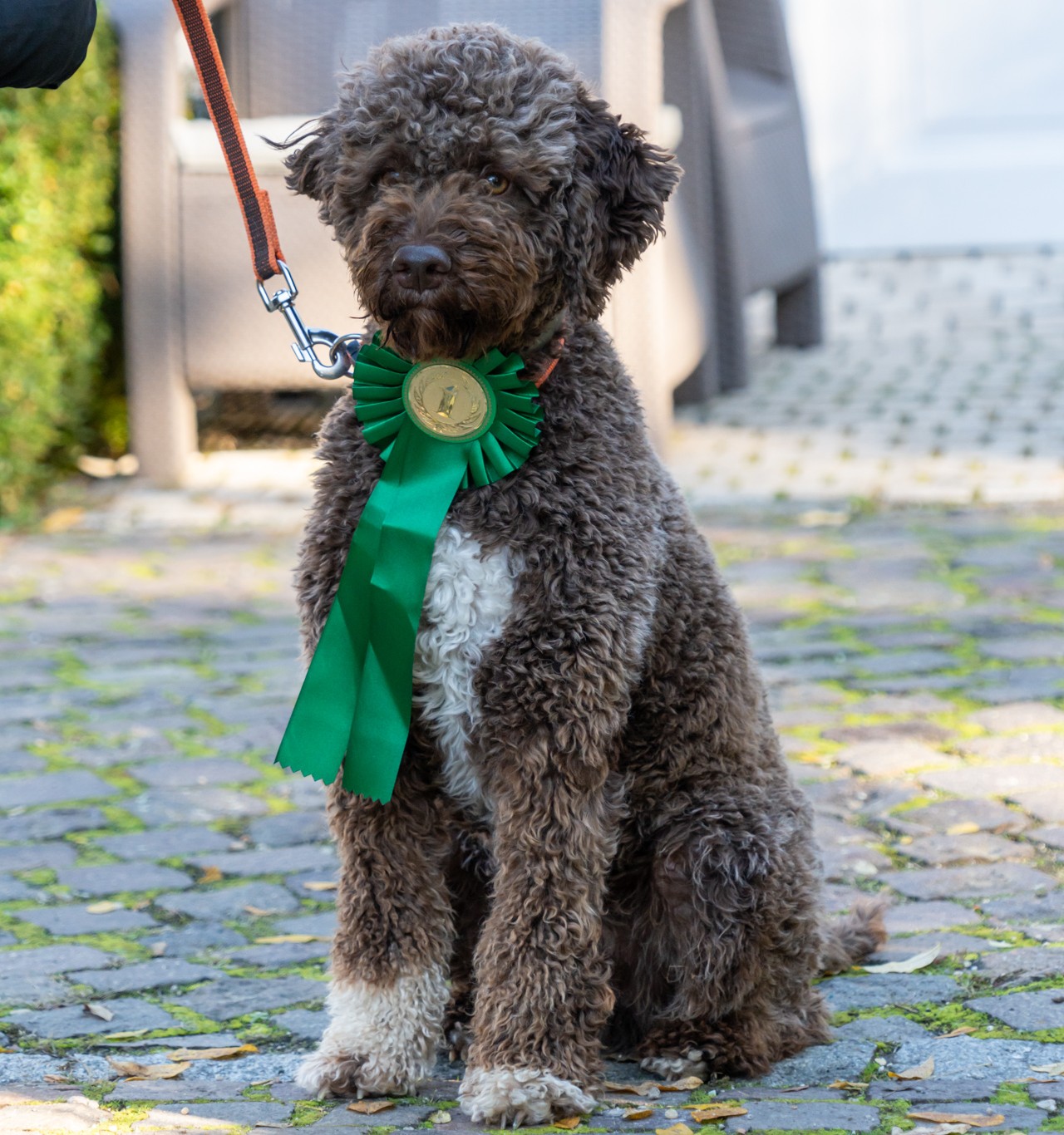 Tisza-tó Napja 2025