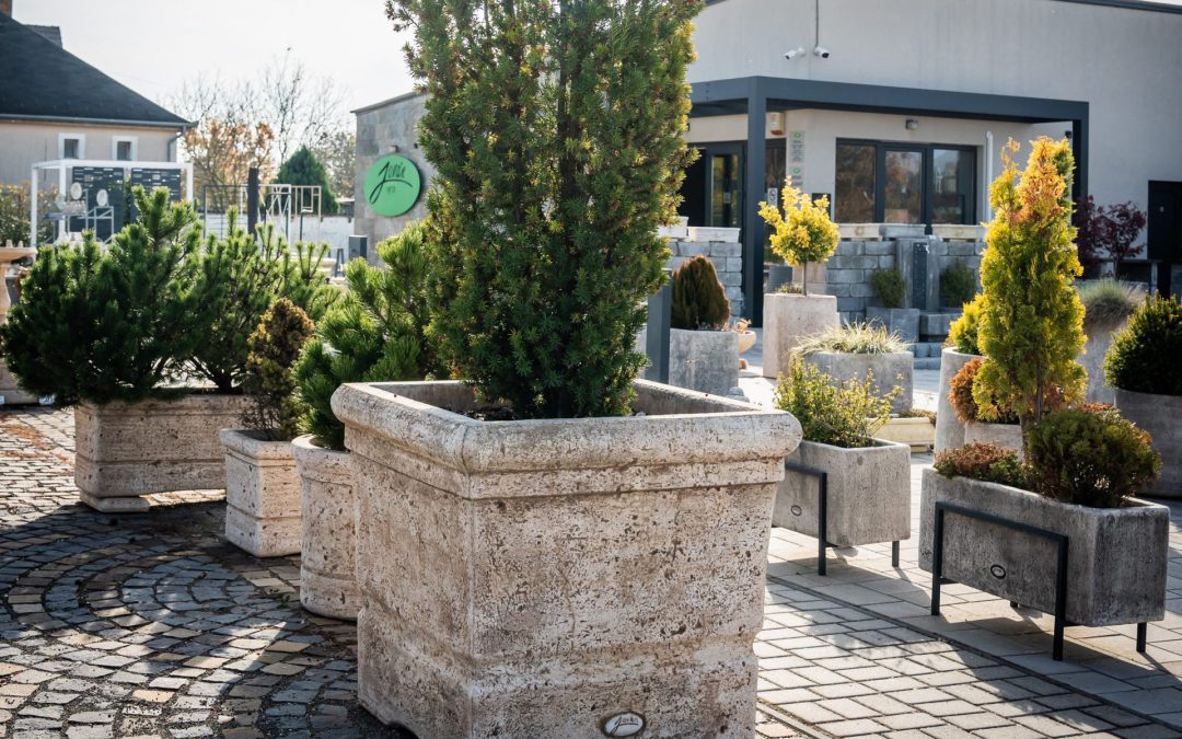 Több mint 50 év hagyománya és kézműves precizitás – bemutatkozik a Jován családi vállalkozás