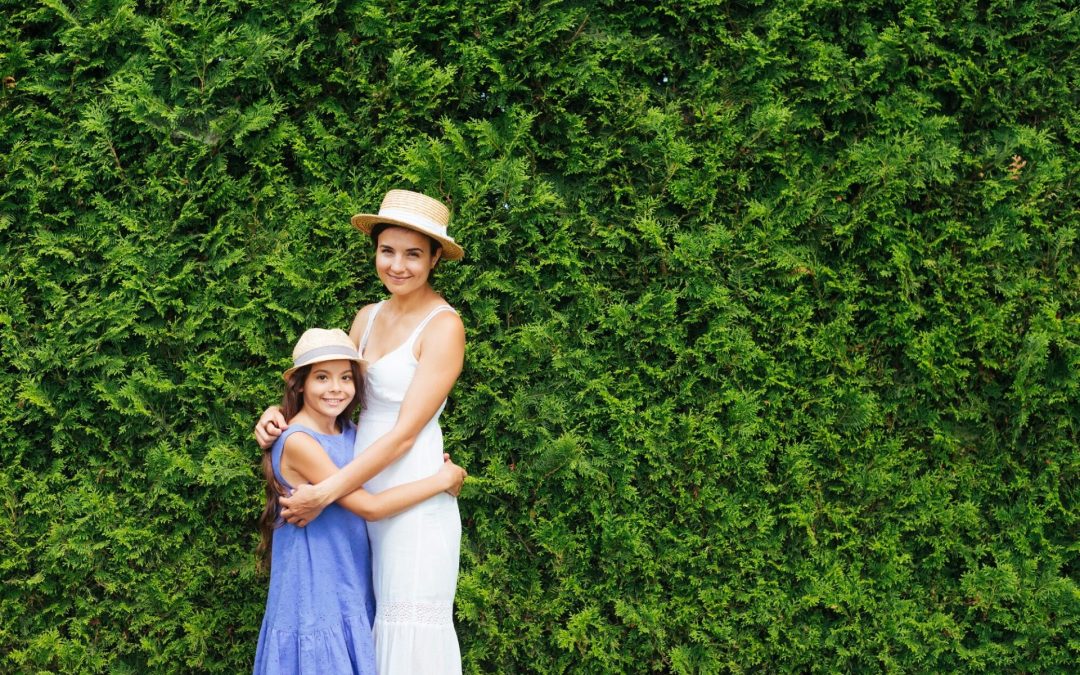 Élő kerítés, a vidéki nyugalom záloga – Hogyan válasszunk sövényt?