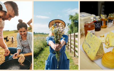 Agroturizmusra FEL! – országos roadshow indul a vidéki vállalkozásokért