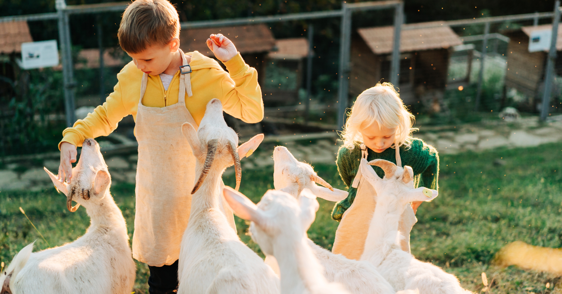 Zelna borászat, Mérmű stúdió, rusztikus lakberendezési ötletek,