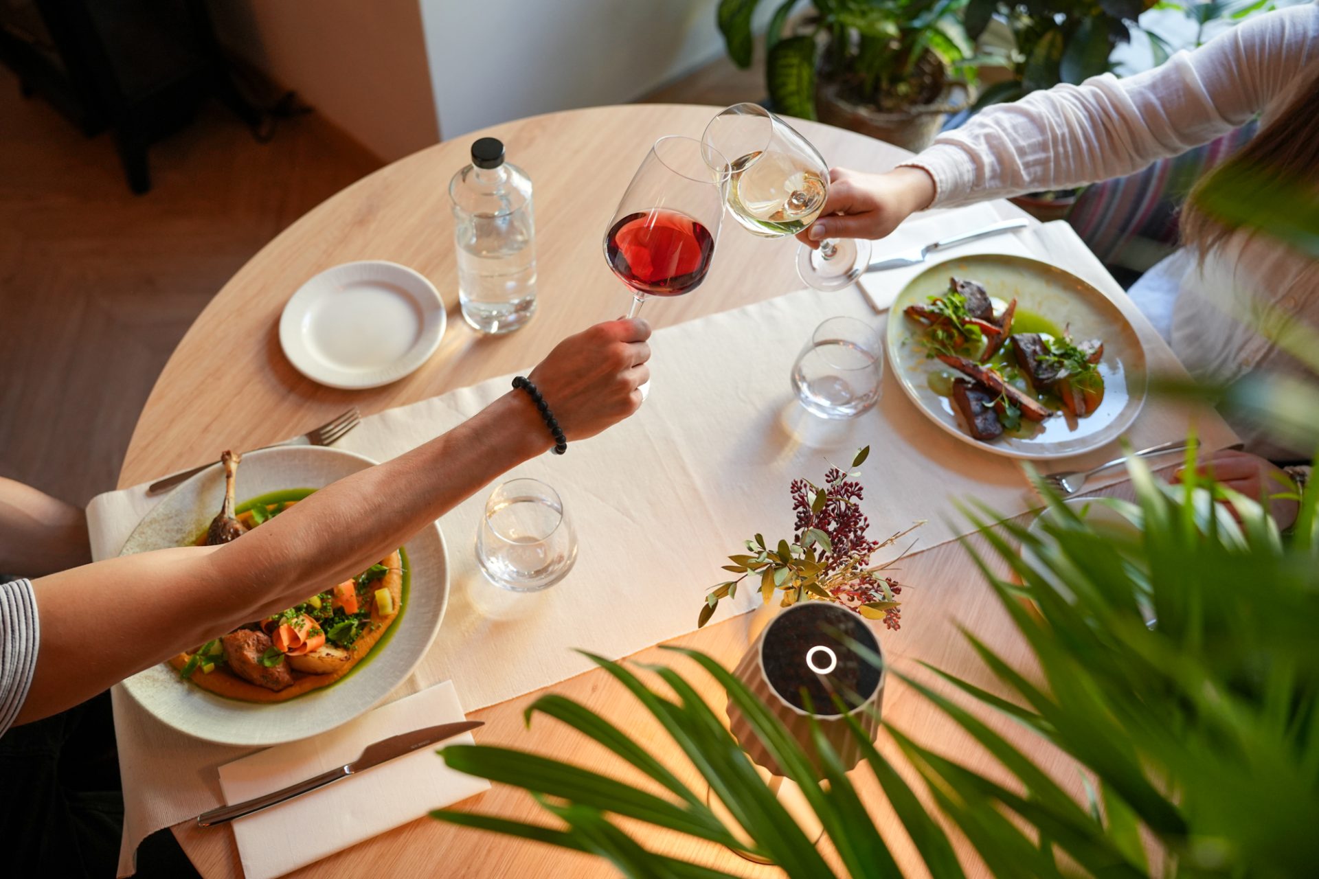 Zelna borászat, Mérmű stúdió